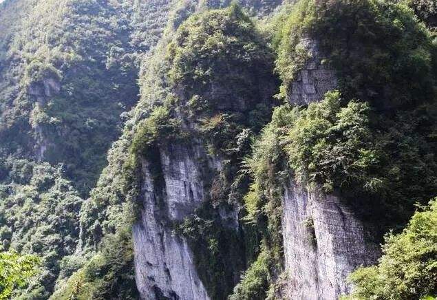 最近，开州这5个镇热闹了！好多开州人要往这几个地方去了！“雷火电竞在线登录官网”(图4)