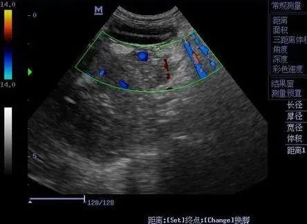 宠物博主让狗当大胃王 强行塞朝天椒、挑战生鸡腿引众怒‘泛亚电竞’(图11)