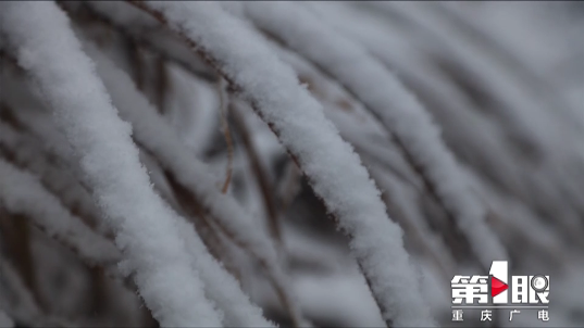 “Kaiyun网站”视频+美图：开州多地下雪，好多开州人上山耍雪，你去玩儿了吗？(图8)