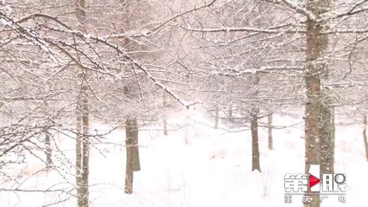 视频+美图：开州多地下雪，好多开州人上山耍雪，你去玩儿了吗？_雷火电竞官方网站(图7)