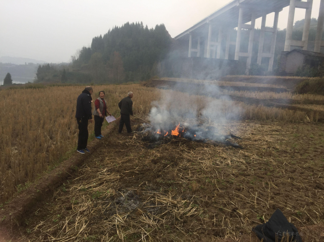 这种行为在开州农村很常见，殊不知已经犯法：泛亚电竞(图2)