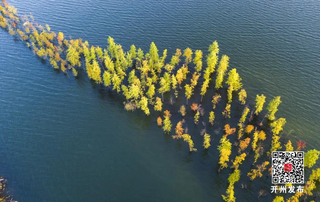 “kaiyun”超美多图！开州湿地生态持续向好，山青水秀景更美(图9)