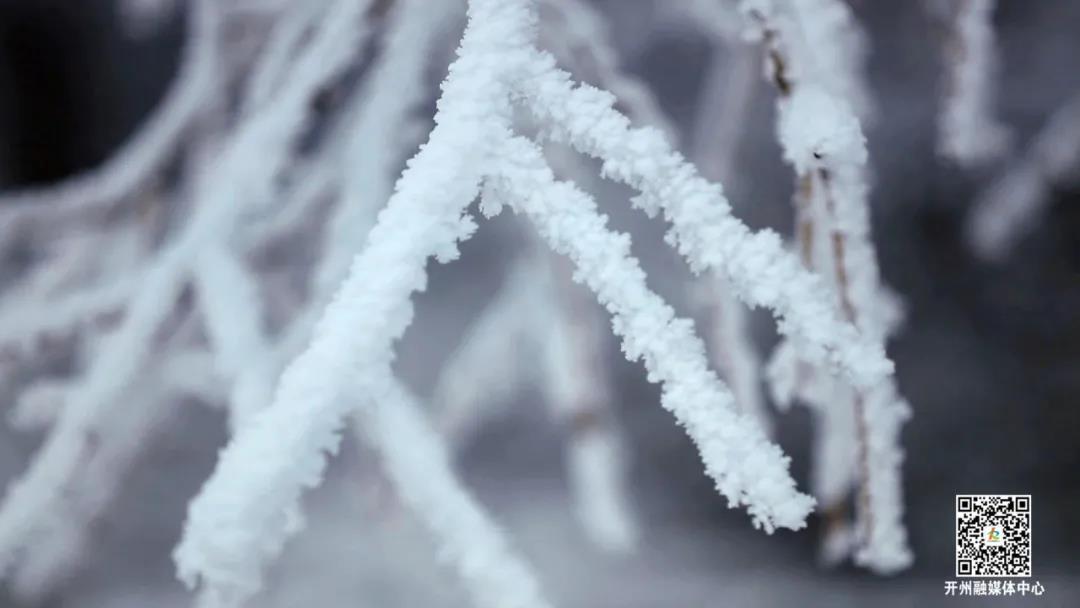 半岛官网App下载_元旦“趣”哪儿？走，赏雪去！(图4)