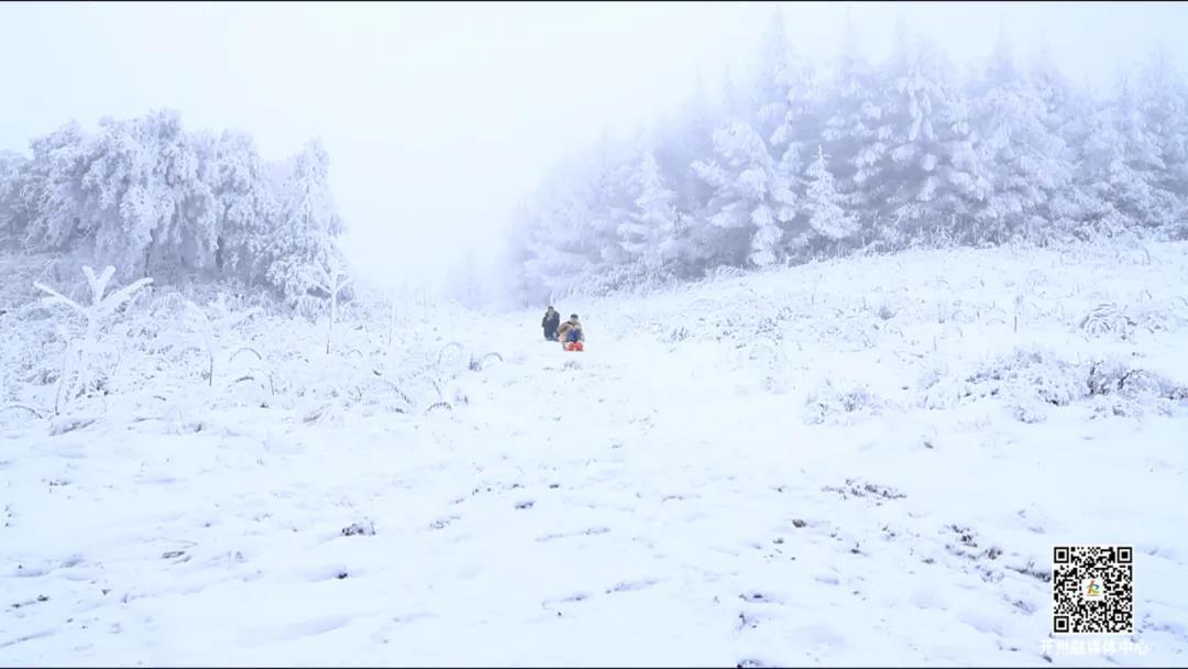 元旦“趣”哪儿？走，赏雪去！“ag九游会官网登录”(图7)