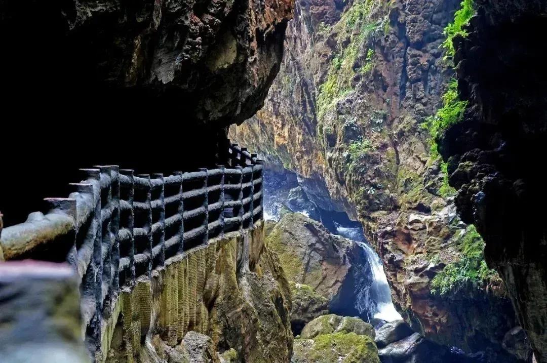 泛亚电竞_野生青头潜鸭现身开州，开州民宿成冬季乡村旅游靓丽风景线(图6)