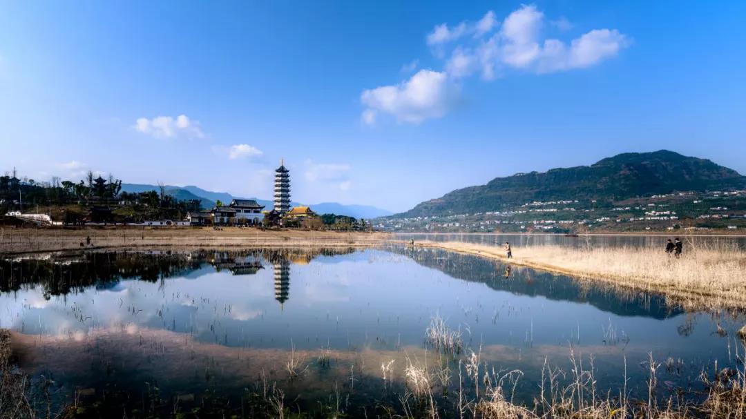 野生青头潜鸭现身开州，开州民宿成冬季乡村旅游靓丽风景线_bat365在线平台(图7)