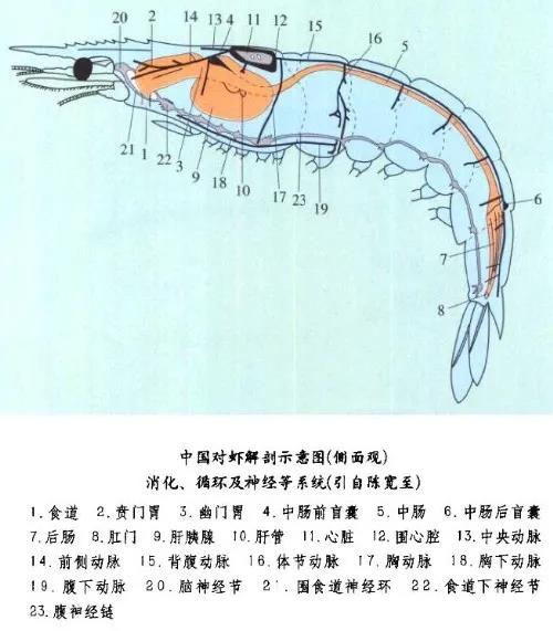 微信图片_20210213184507.jpg