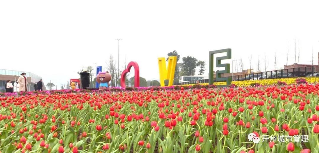 Kaiyun官方网：在这“色彩缤纷”的季节里，一起去滨湖公园踏青赏花吧！(图5)