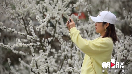 ag九游会登录j9入口|花开如雪，待开州放晴，一起去踏青吧！(图9)