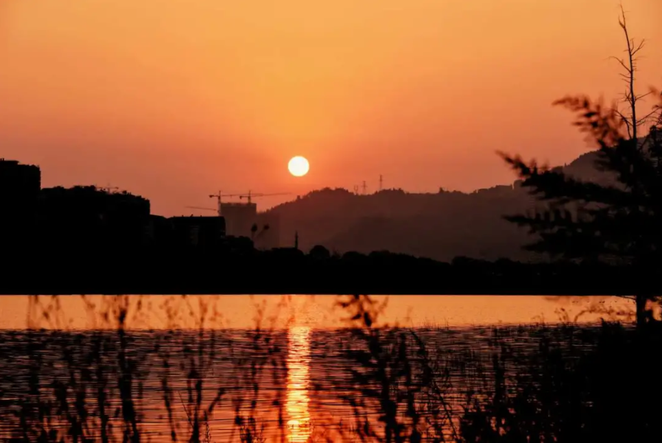 微信截图_20210304154925.png