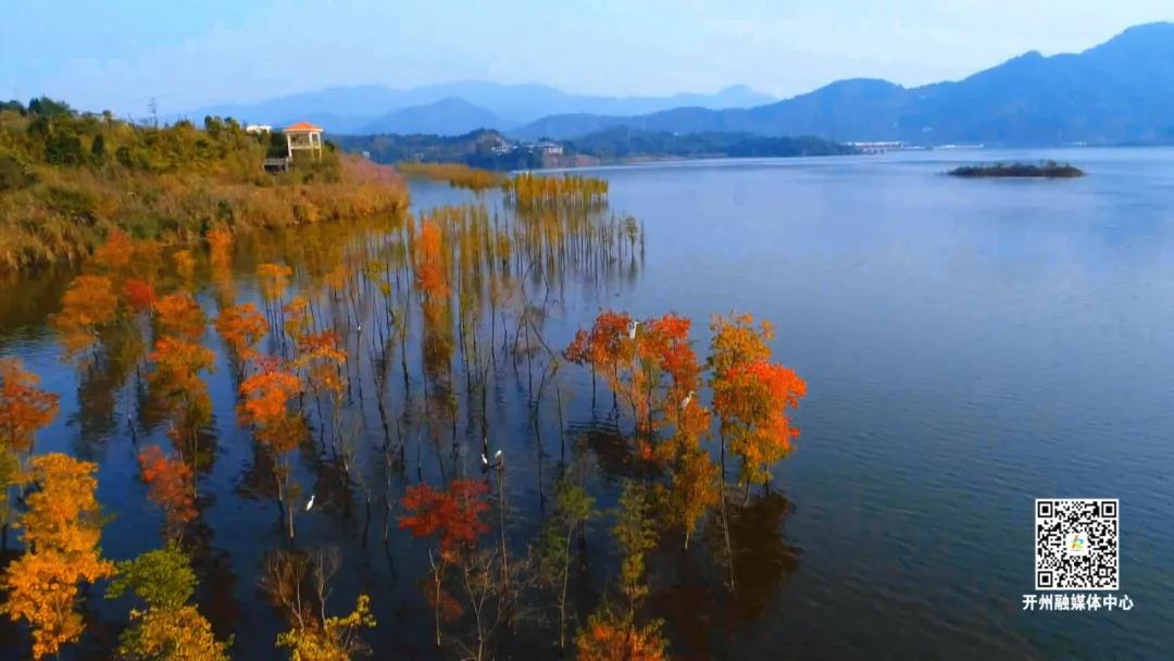 汉丰湖水中彩林美景，怎么来的？原来是这样→-kaiyun官方网站(图5)