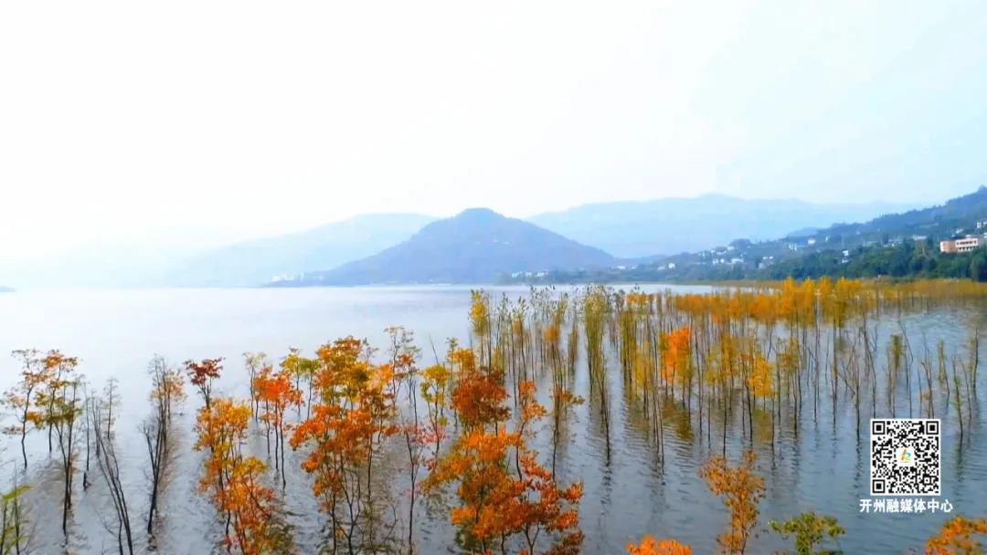 汉丰湖水中彩林美景，怎么来的？原来是这样→-kaiyun官方网站(图7)