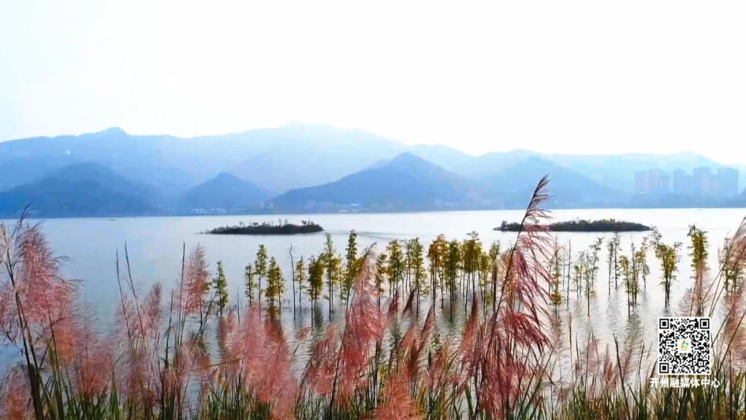汉丰湖水中彩林美景，怎么来的？原来是这样→-kaiyun官方网站(图6)