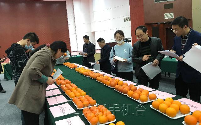 ‘雷火电竞在线登录官网’“三峡杯”评选，开州柑橘喜获2金奖2银奖(图2)