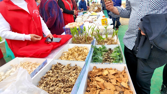 泛亚电竞官网_今年最好的赏花去处：温泉县坝！万亩花开(图5)