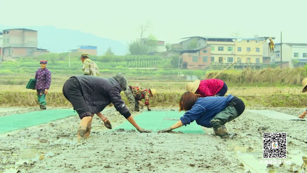 ag九游会|春耕正当时！开州各地呈现美丽春耕画卷~种下春天的希望(图12)