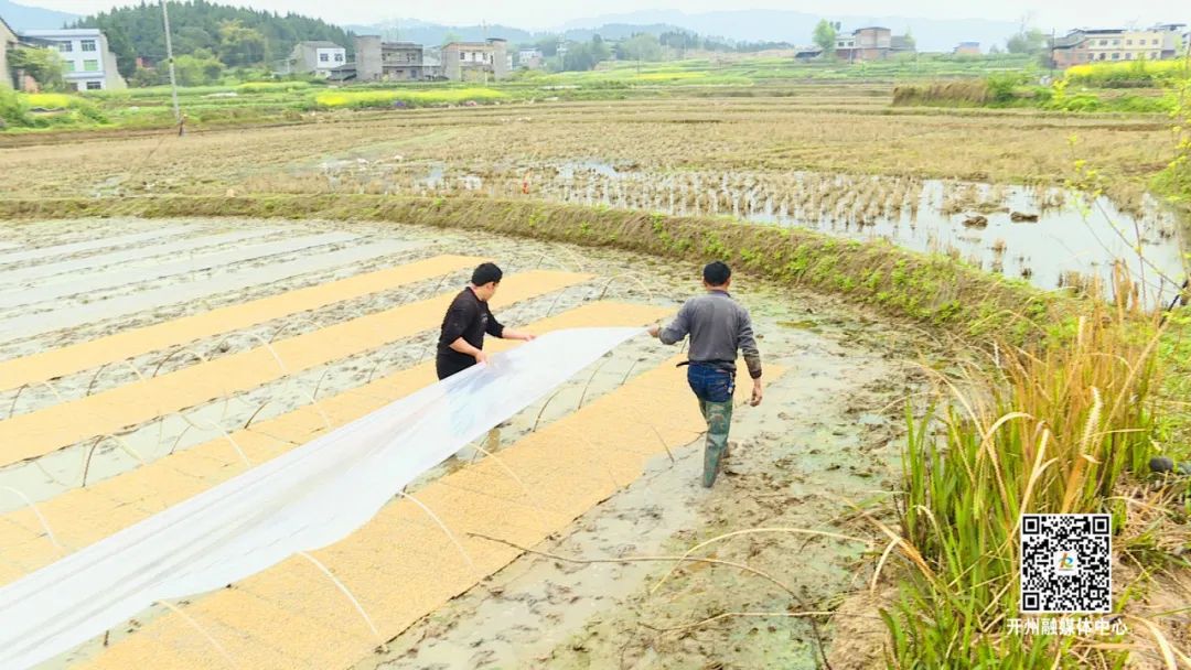 雷火电竞官方网站-春耕正当时！开州各地呈现美丽春耕画卷~种下春天的希望(图11)