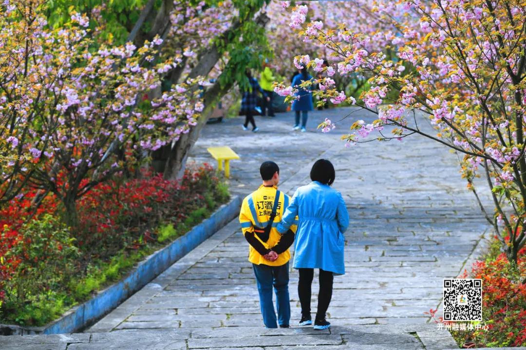 美爆了！三月开州城，处处是风景！【九游会ag真人官网】(图8)