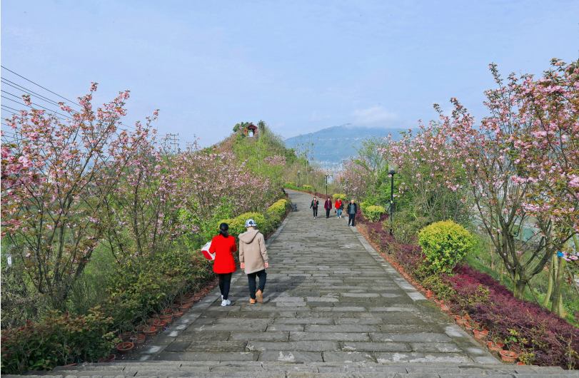 ‘ag九游会’美爆了！三月开州城，处处是风景！(图10)