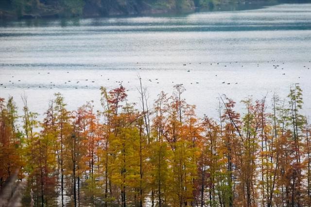 ‘半岛官方下载地址’开州十大景点，你去过哪些地方？(图3)