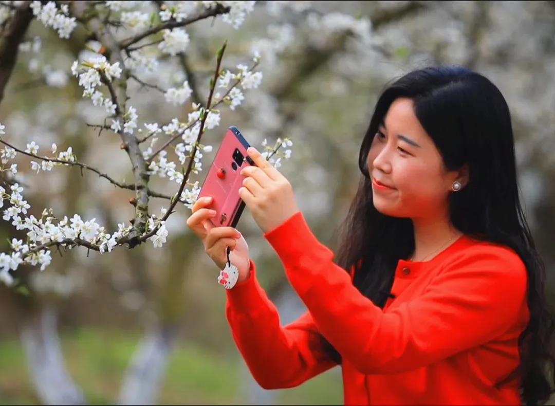 【清明趣哪儿】登高、赏花、品非遗美食！南山等你来_皇冠国际体育app(图3)