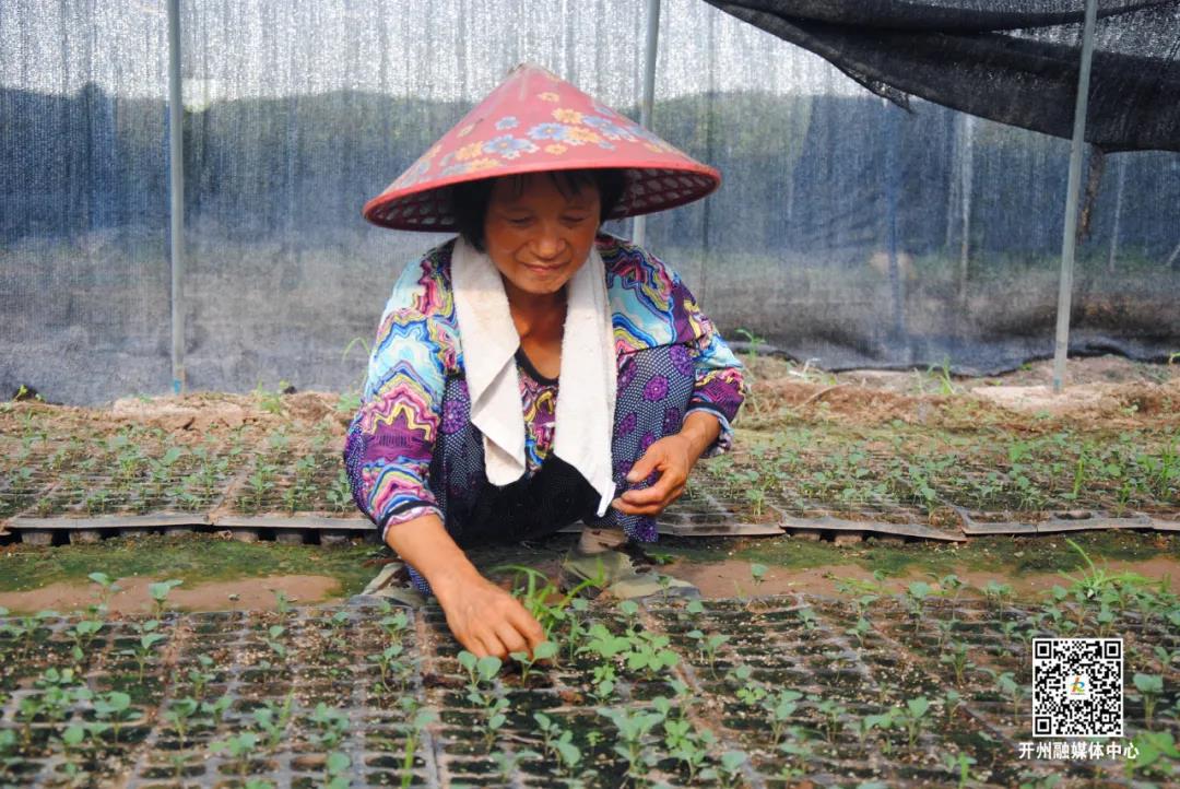 4.5万人口高质量就业！看看开州怎么做的→_澳门银银河娱乐官方网址(图8)