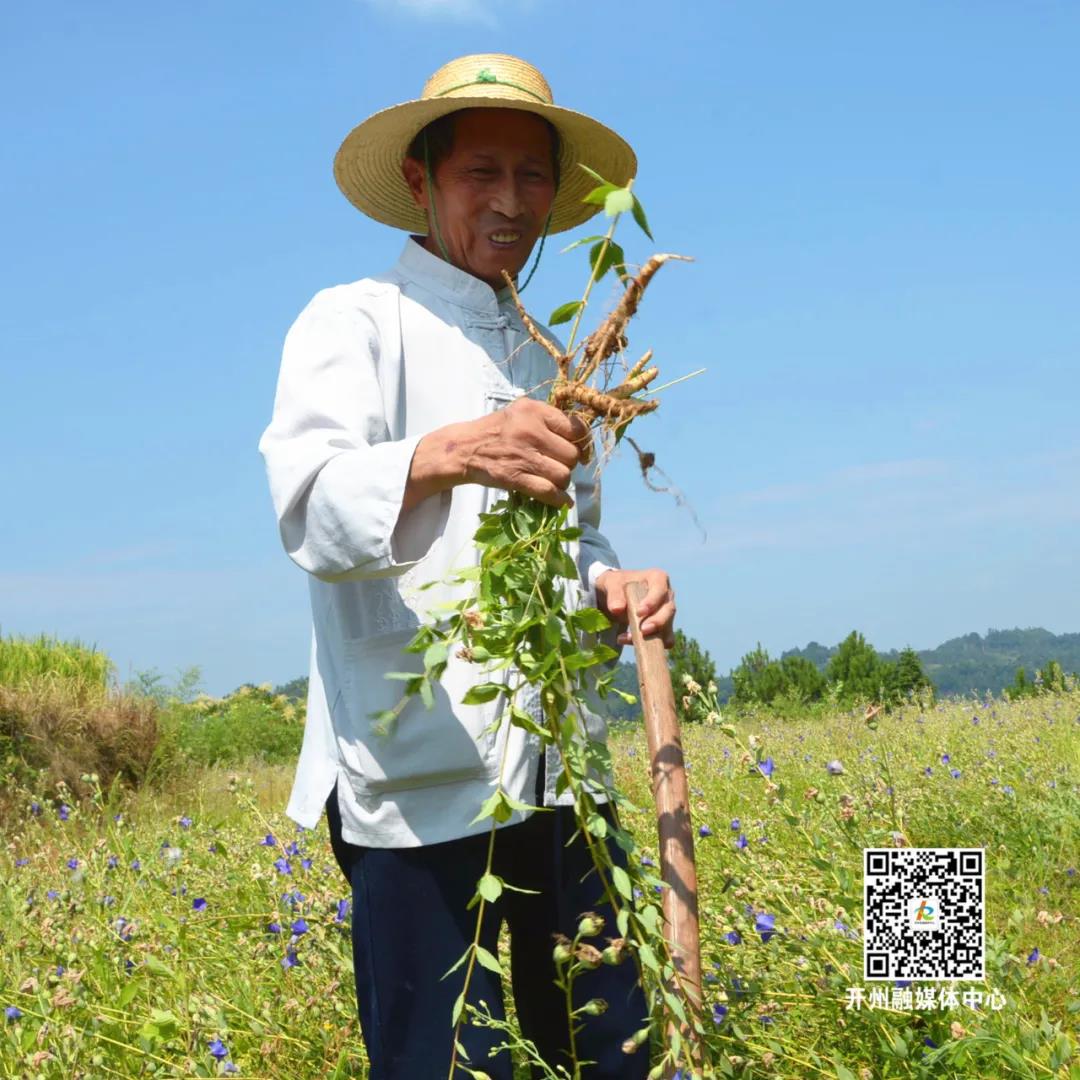 4.5万人口高质量就业！看看开州怎么做的→_澳门银银河娱乐官方网址(图9)