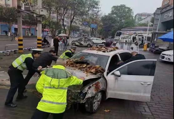 开州交巡警集中清理“僵尸车”，在禁停区域内停车的就遭了“Kaiyun官方网”(图6)