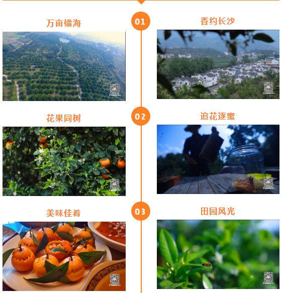 开州四月花开成海，正是外出踏春好时节‘Kaiyun官方网’(图2)