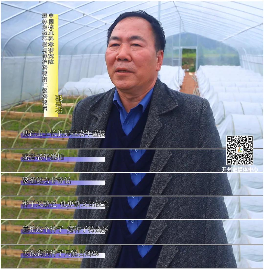 Kaiyun官方网|拯救中国特有“国宝”级植物！开州在行动……(图7)