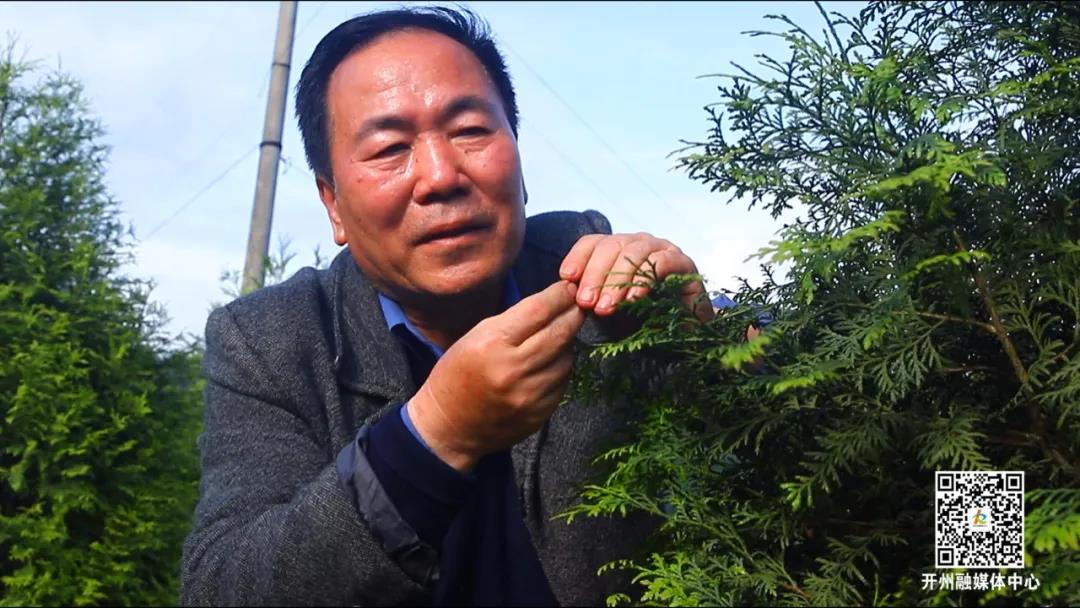Kaiyun官方网|拯救中国特有“国宝”级植物！开州在行动……(图11)
