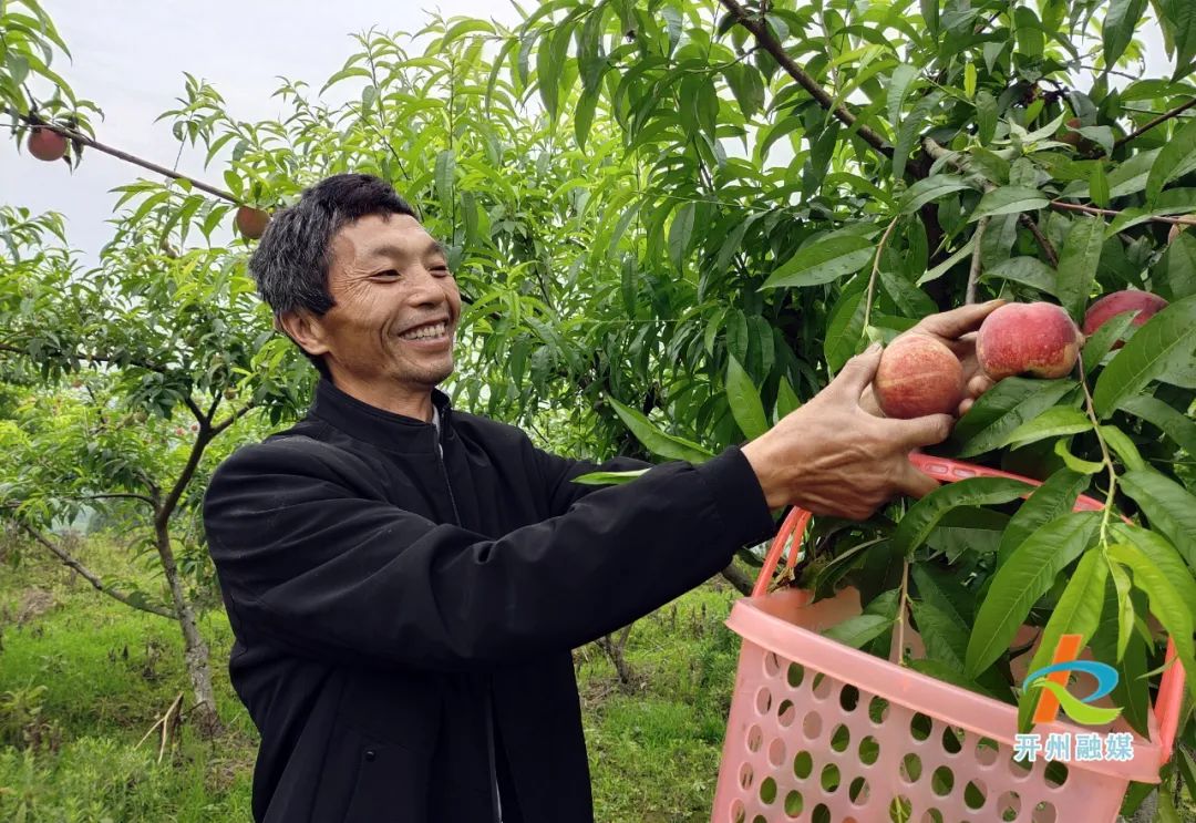 ‘九游会ag真人官网’重庆市脱贫攻坚先进集体：“我们的日子芝麻开花节节高”(图3)