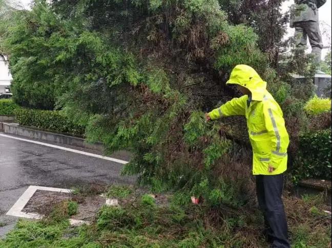 开州遭遇暴雨袭击，暴雨中你们的样子真帅！|泛亚电竞官方入口(图6)