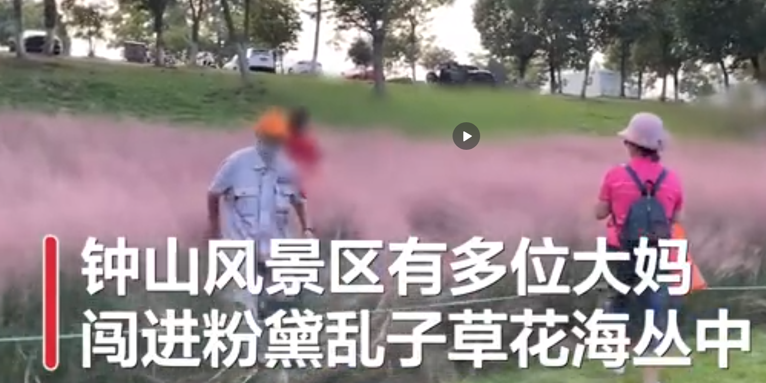 微信图片_20210918142656.png
