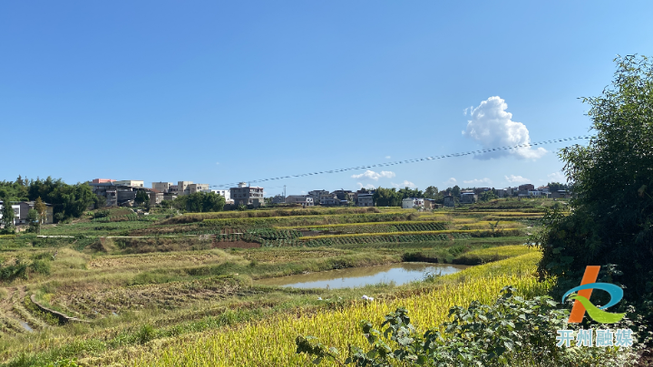 “云开·全站APPkaiyun”大德镇走种养结合之路，发展新型家庭农场(图1)