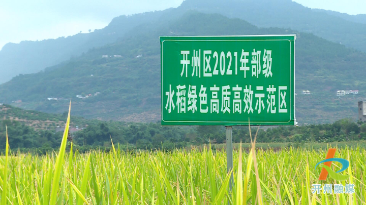 ‘pp电子’厉害了！再生稻面积突破了10万亩 粮食增产两万多吨！(图2)