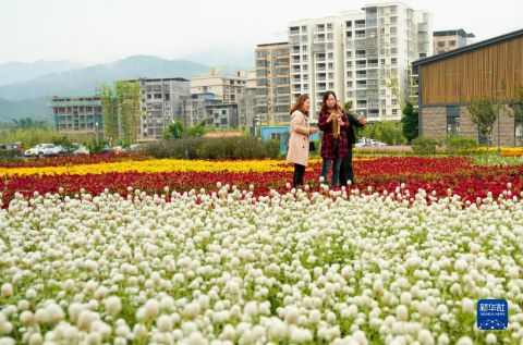 开州这个地方将打造宜居宜业宜游的新农村，快来看是不是你的家乡？‘泛亚电竞’(图2)