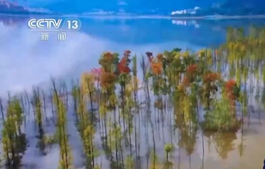 pg电子官方网站_厉害了！开州汉丰湖被央视夸赞风景美！(图4)