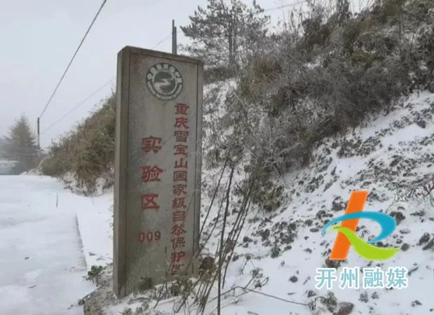 “米乐m6官网登录入口”雪宝山下雪啦，美如仙境！(图1)