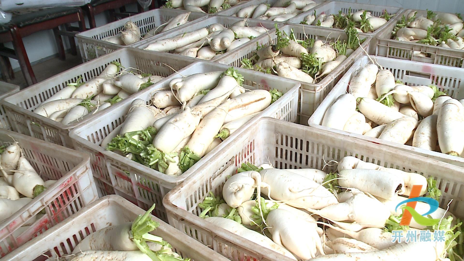 【Kaiyun官方网】不用担心蔬菜价格这些了，竹溪的蔬菜基地正丰富老百姓的菜篮子！(图4)
