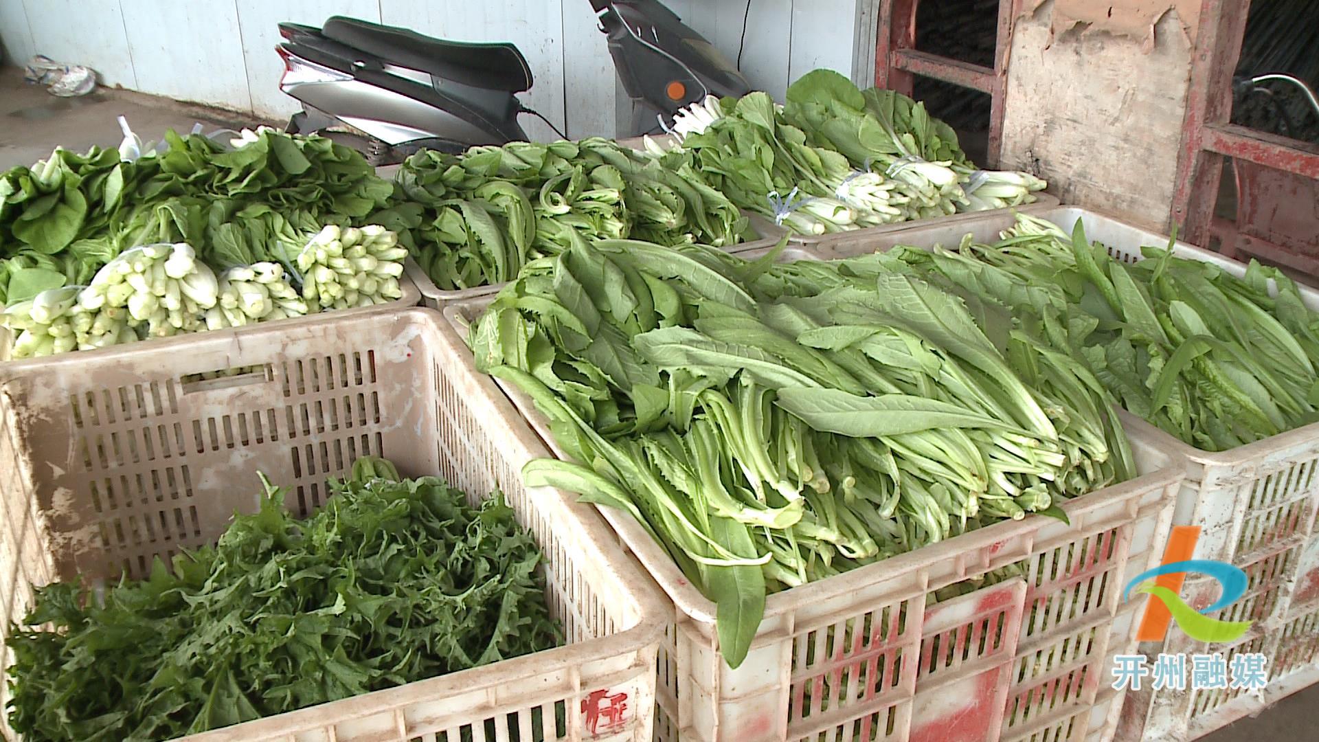 【Kaiyun官方网】不用担心蔬菜价格这些了，竹溪的蔬菜基地正丰富老百姓的菜篮子！(图3)