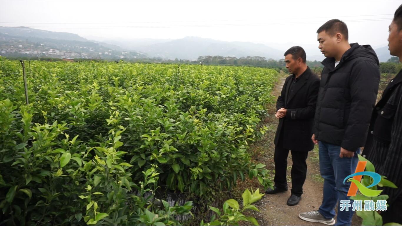 厚坝镇:农业技术送上门 种植养殖好致富‘雷火电竞在线登录官网’(图2)