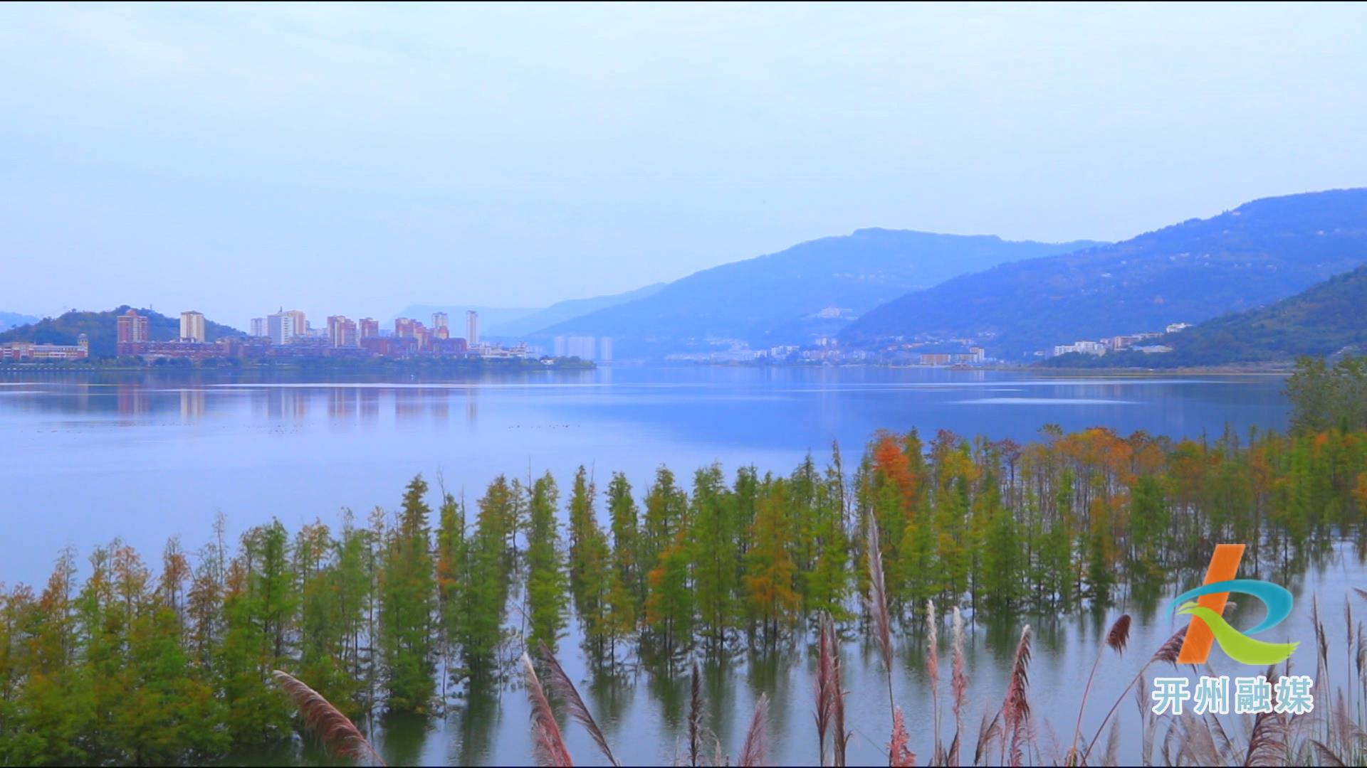 汉丰湖迎来了最佳观赏期，不要错过这美轮美奂的风景画面！：环球体育官网入口登录(图5)