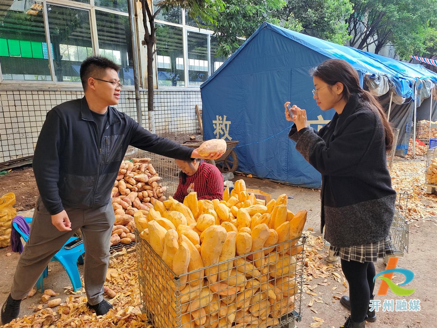 雷火电竞官方网站-这个番薯的个头也太大了吧！都快比我脑袋都大了！一定很甜很好吃！(图5)