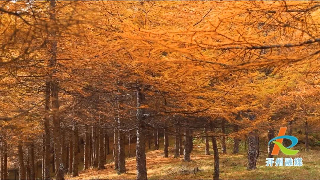 泛亚电竞|油画满月，风景这边独好……(图16)