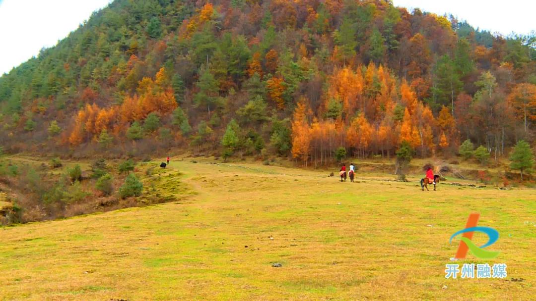 泛亚电竞|油画满月，风景这边独好……(图22)