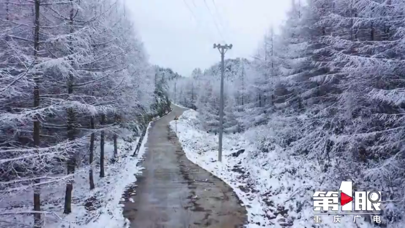 去看雪吗！开州满月镇一夜之间银装素裹‘半岛官方下载地址’(图2)