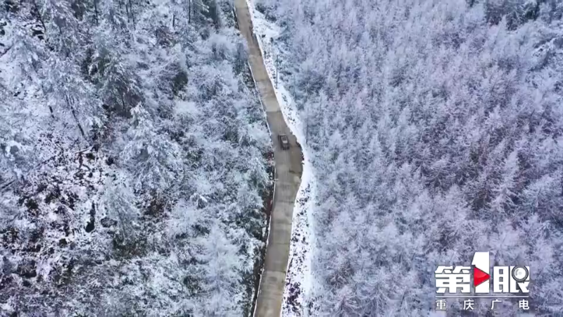 去看雪吗！开州满月镇一夜之间银装素裹‘半岛官方下载地址’(图4)