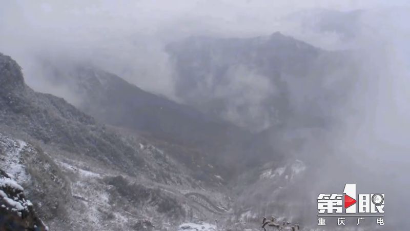 江南JN体育登录入口：雪宝山再降大雪 一夜进入冰雪世界(图5)