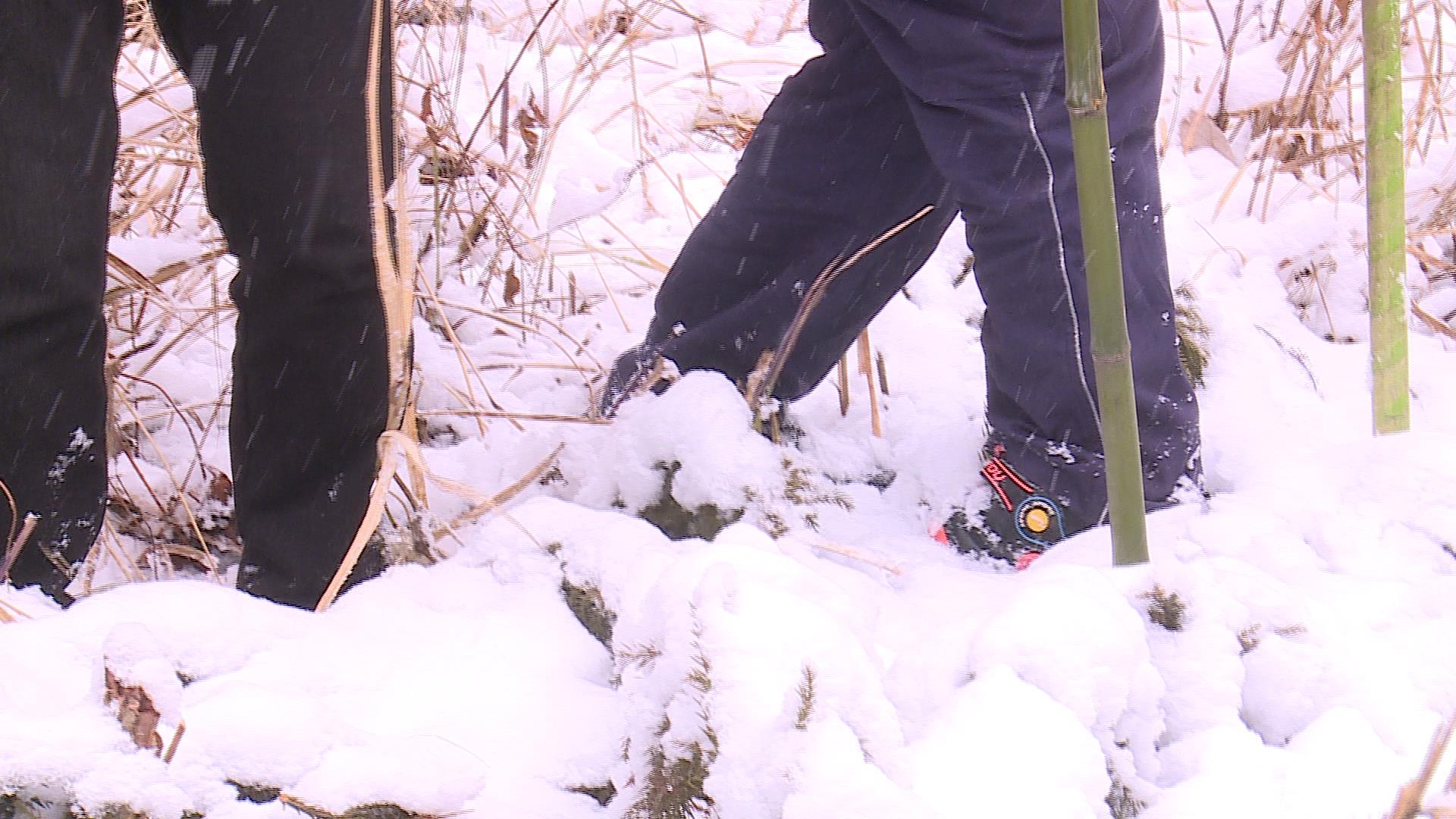 翻山越岭冒雪巡线,保证当地居民正常用电“雷火电竞官方网站”(图2)